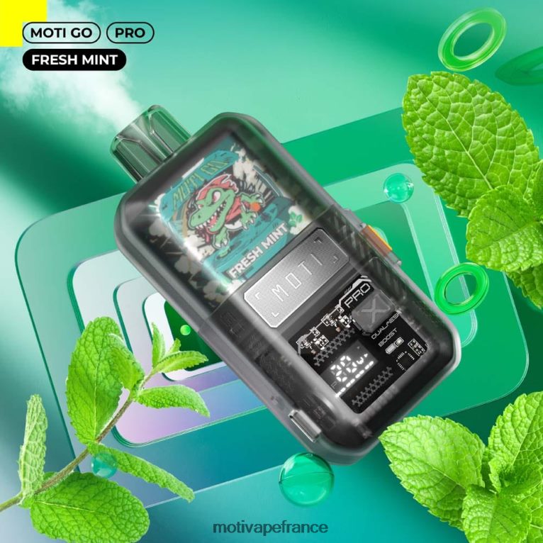 MOTI Go Pro vape jetable (5%, 12000 bouffées) HVDB4P16 menthe fraîche - MOTI Vape Kit France