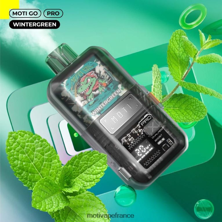 MOTI Go Pro vape jetable (5%, 12000 bouffées) HVDB4P24 gaulthérie - MOTI Vape Review